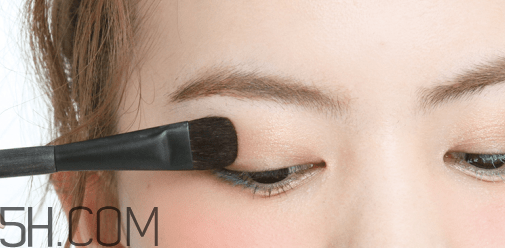 ��ױˢ����;���� ��ױˢ����ϸ�÷�